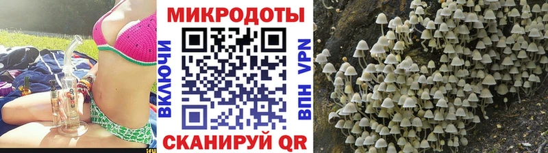 закладка  блэк спрут маркетплейс  Псилоцибиновые грибы Magic Shrooms  Северо-Курильск 